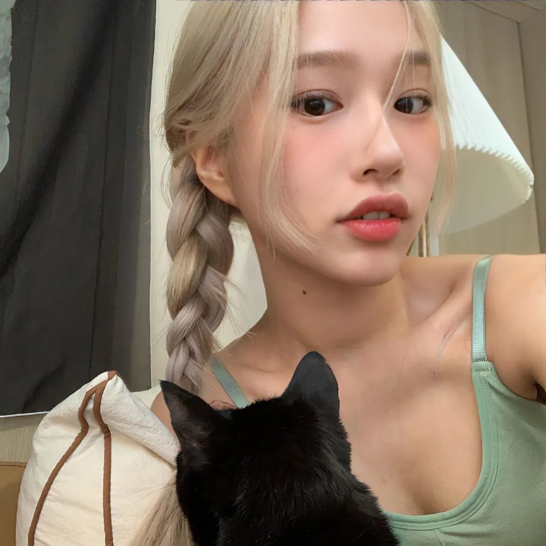 小说王